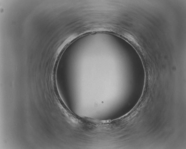 X0000069391181200605192206