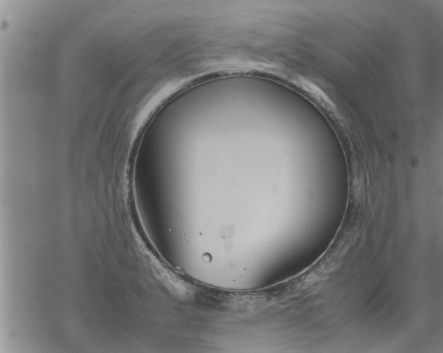 X0000069391183200605192206