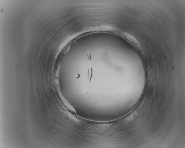 X0000069391184200605192206