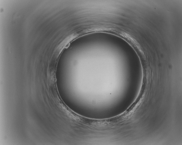 X0000069391185200605192206