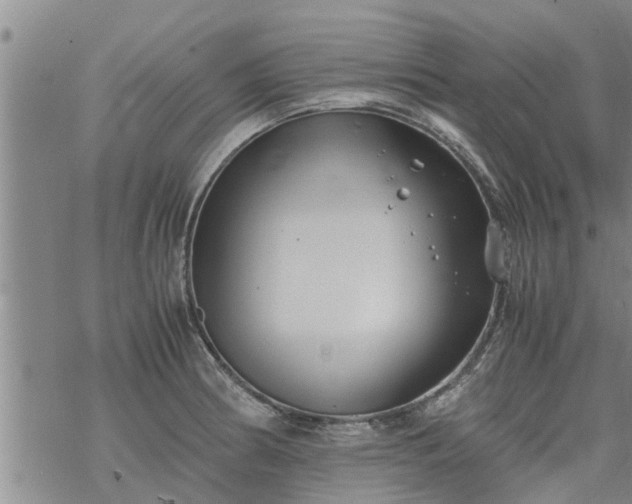 X0000069391186200605192206