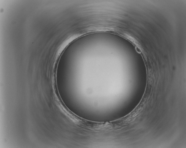 X0000069391187200605192206