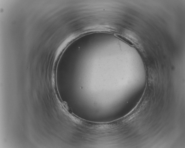 X0000069391188200605192206