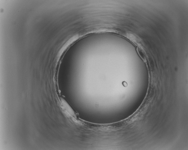 X0000069391189200605192206