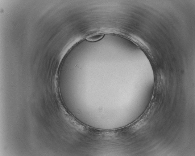 X0000069391190200605192206