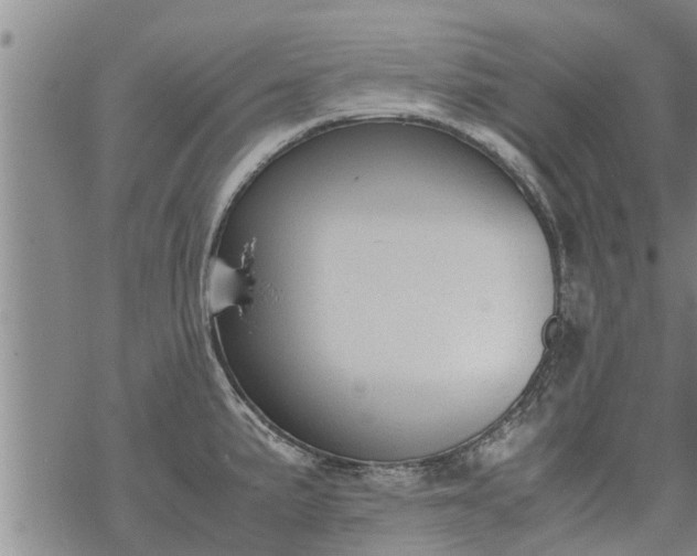 X0000069391191200605192206