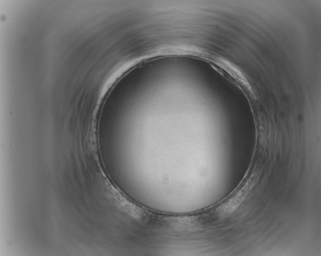 X0000069391192200605192206