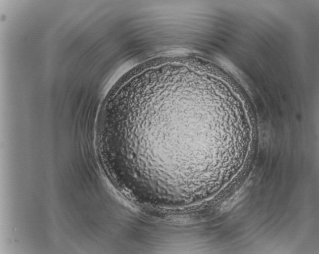 X0000069391194200605192206