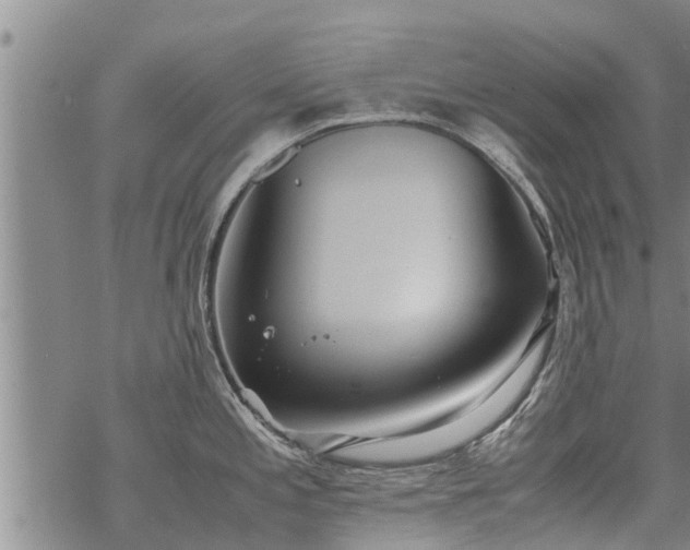 X0000069391197200605192206