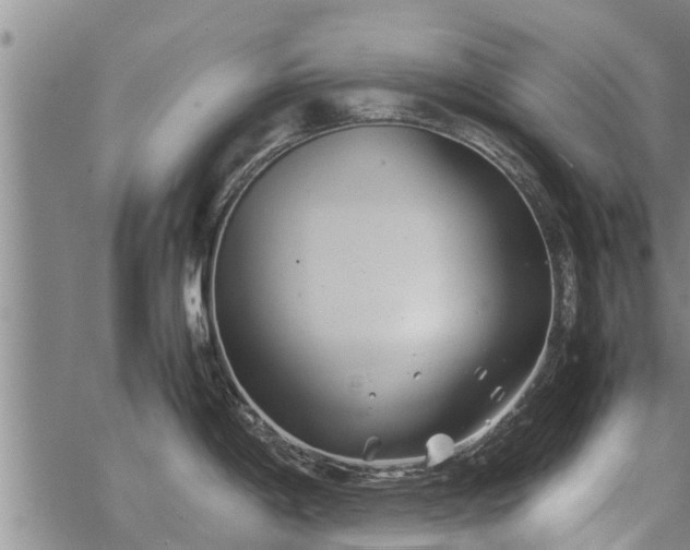 X0000069391198200605192206