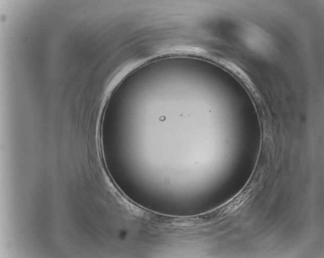 X0000069391199200605192206