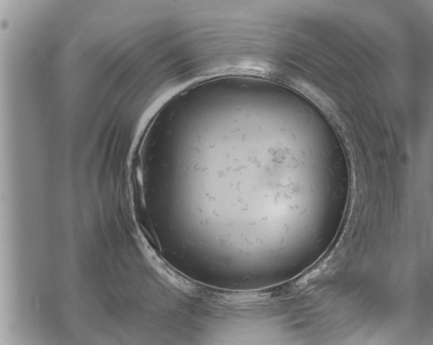 X0000069391200200605192206