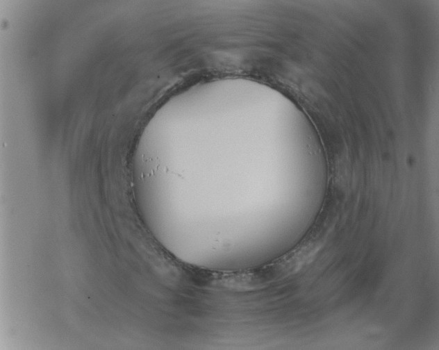 X0000069391201200605192205