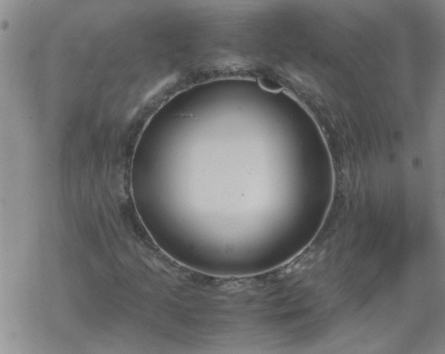 X0000069391205200605192205