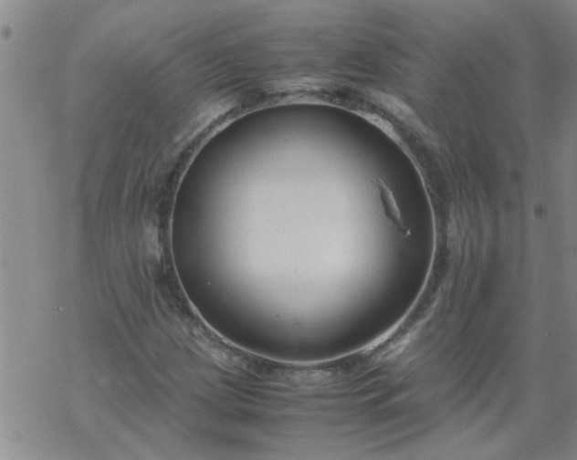 X0000069391209200605192205