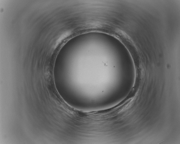 X0000069391210200605192205