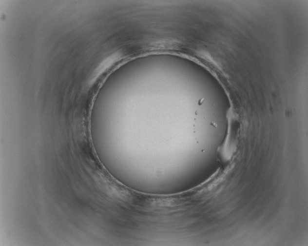 X0000069391211200605192205