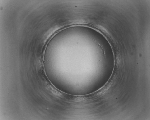 X0000069391212200605192205