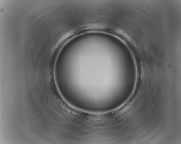 X0000069391213200605192205