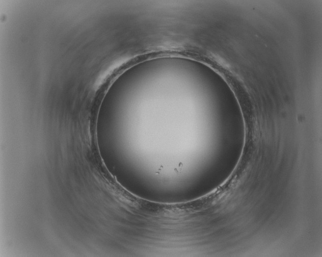 X0000069391214200605192205