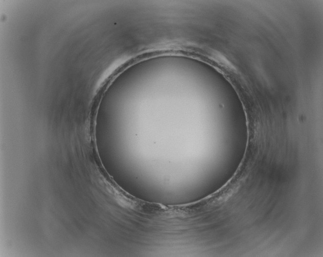 X0000069391216200605192205