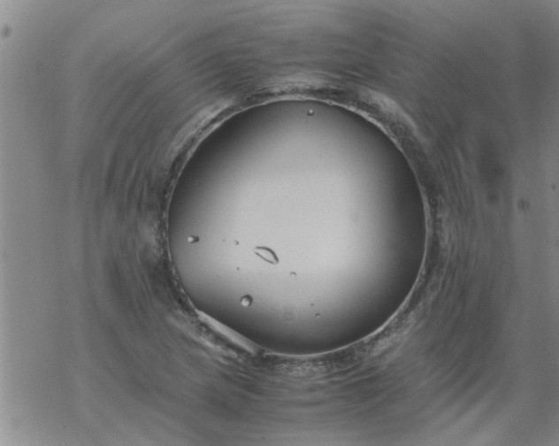 X0000069391217200605192205