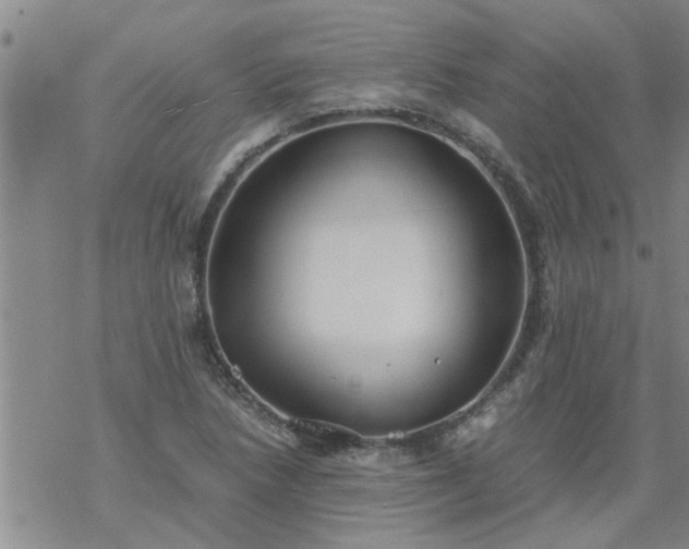 X0000069391218200605192205