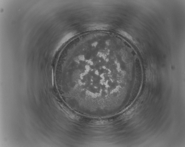 X0000069391219200605192205