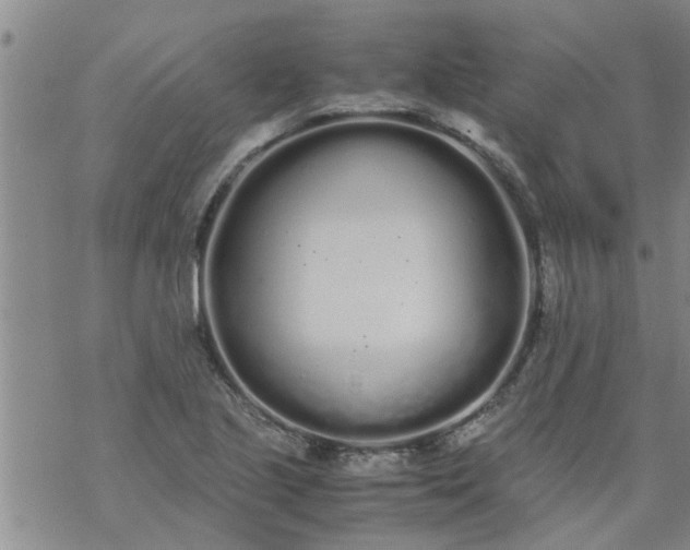 X0000069391221200605192205