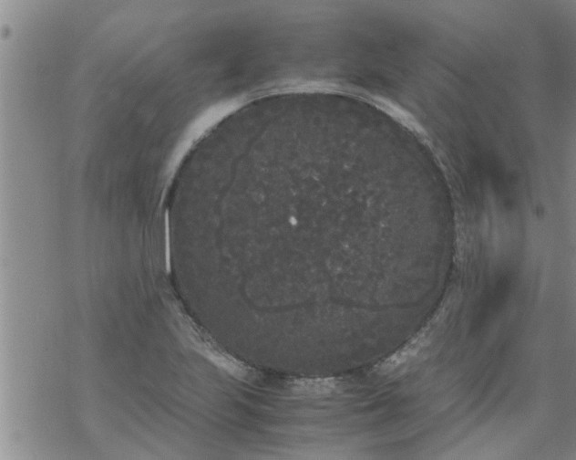 X0000069391223200605192205