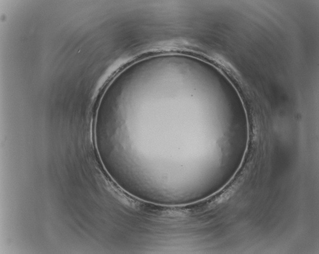 X0000069391224200605192205