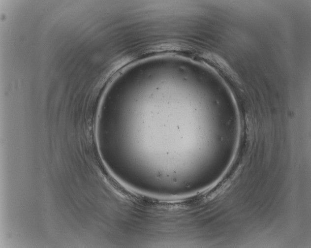 X0000069391225200605192205