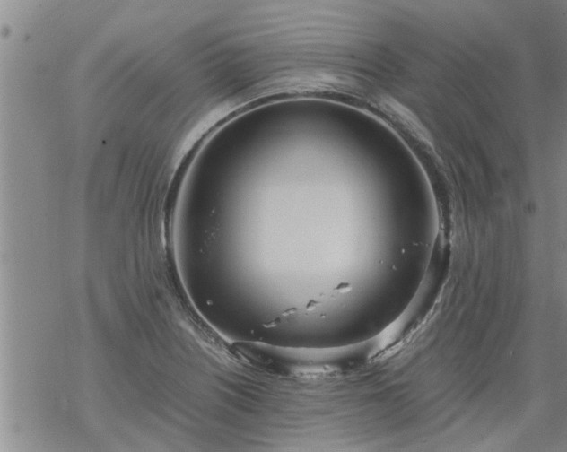 X0000069391226200605192206