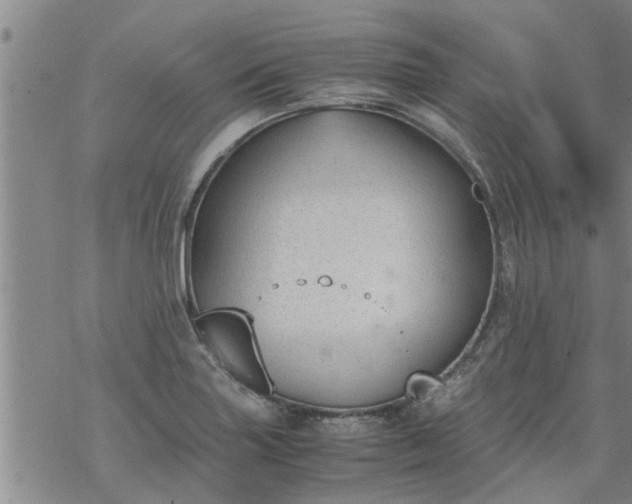 X0000069391227200605192206