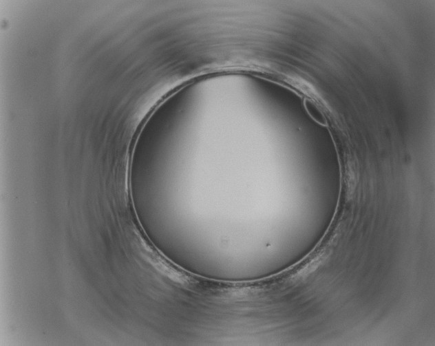 X0000069391228200605192206