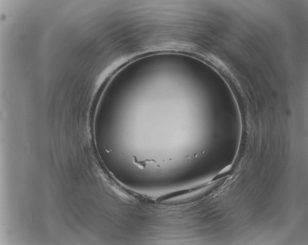 X0000069391230200605192206