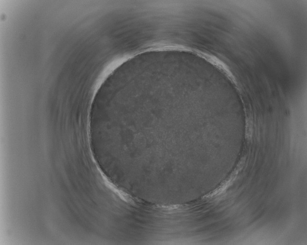 X0000069391231200605192206