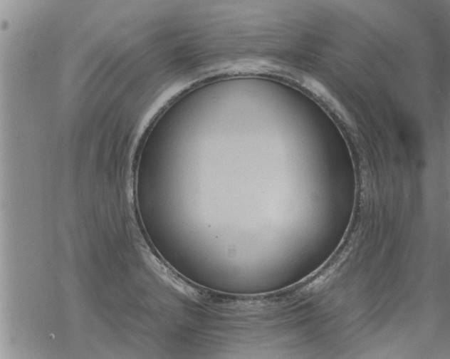 X0000069391232200605192206