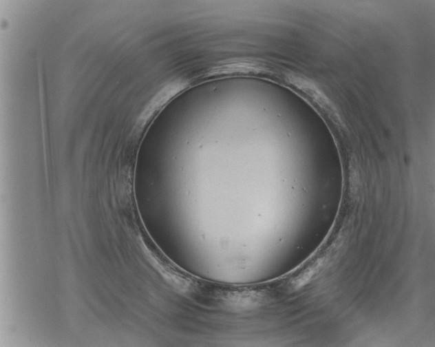 X0000069391233200605192206