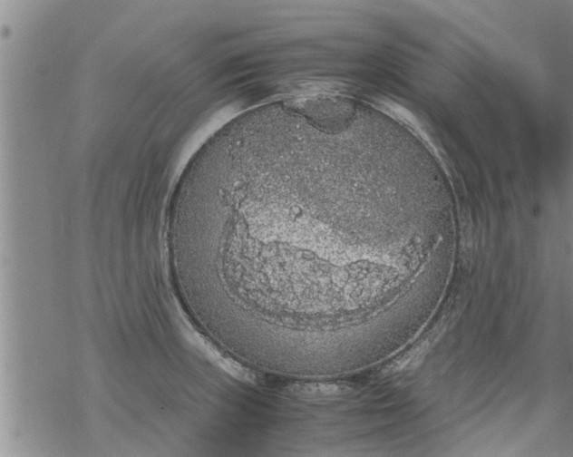 X0000069391235200605192206