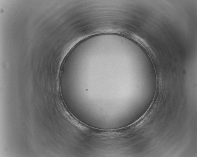 X0000069391236200605192206