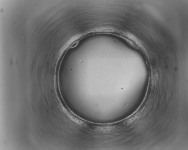 X0000069391237200605192206