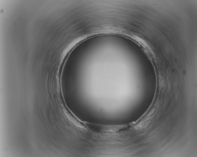 X0000069391238200605192206