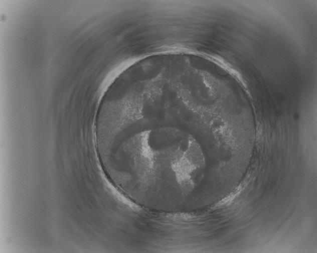 X0000069391239200605192206