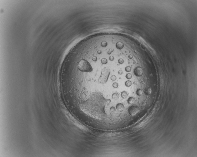 X0000069391240200605192206