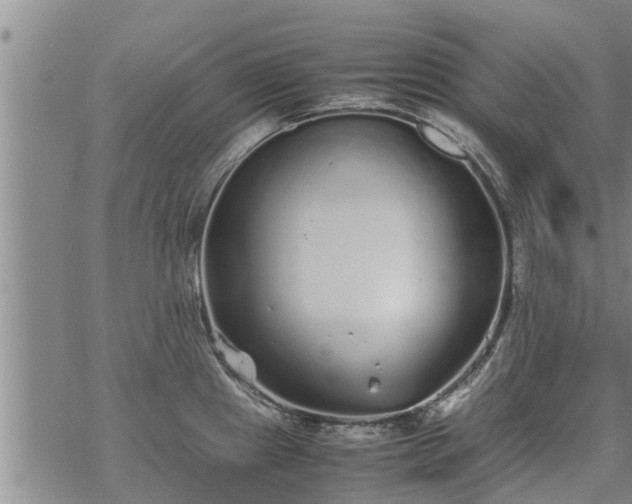 X0000069391241200605192206