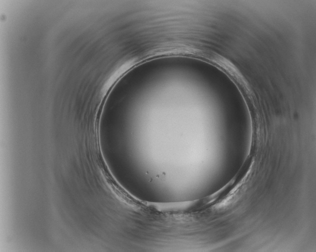 X0000069391242200605192206