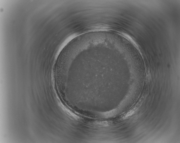 X0000069391243200605192206