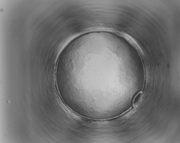 X0000069391244200605192206