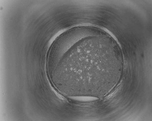 X0000069391245200605192206